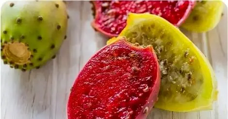خواص میوه کاکتوس چیست؟ میوهای خاص با فوایدی بیپایان!