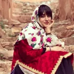 پرونده کنسرت پرستو احمدی بهکجا رسید؟