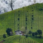 تعبیر خواب دیدن زمستان در تابستان برای زن متاهل و باردار و دختر مجرد از روانشناسی