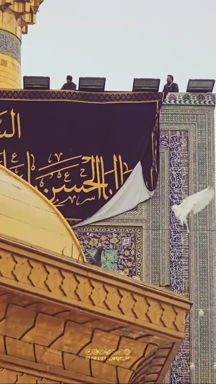 نصب کتیبه ویژه شهادت امام هادی (ع) در حرم مطهر رضوی + ویدئو