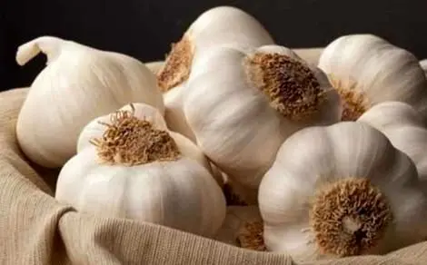 خواص سیر خام و پخته؛ تفاوتها، فواید و نکات مهم برای سلامتی