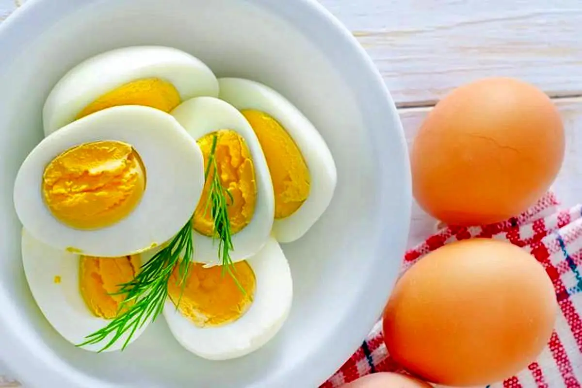 زرده یا سفیده تخممرغ؛ کدام مفیدتر است؟