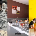 مهدکودک سگها در تهران افتتاح شد! + عکس