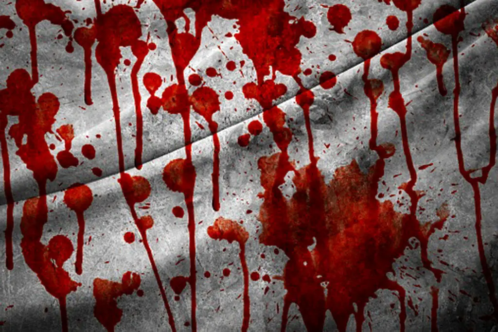 کشف جسد مثلهشده زن گمشده در سردخانه