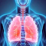 ۵ راهکار پاکسازی ریهها در آلودگی هوا
