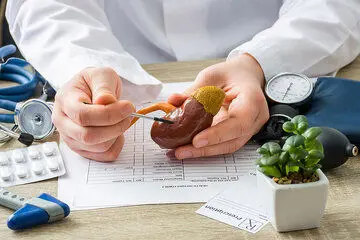 این میوه سنگ کلیه را سه سوته پودر میکند