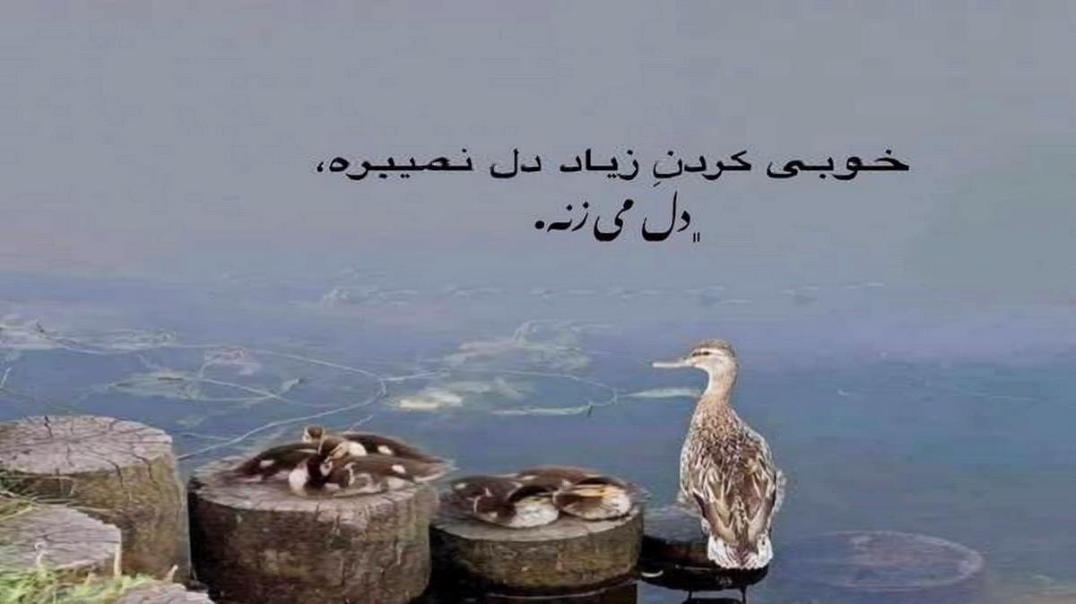 دانلود آهنگ از یاد رفته از غلامحسین بنان