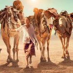 فیلم‌های مخصوص سفر | اگر در تعطیلات در جاده هستید، این فیلم‌ها را ببینید
