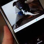 امکان ویرایش سریع پیش از اشتراک‌گذاری در اپلیکیشن Google Photos فراهم شد
