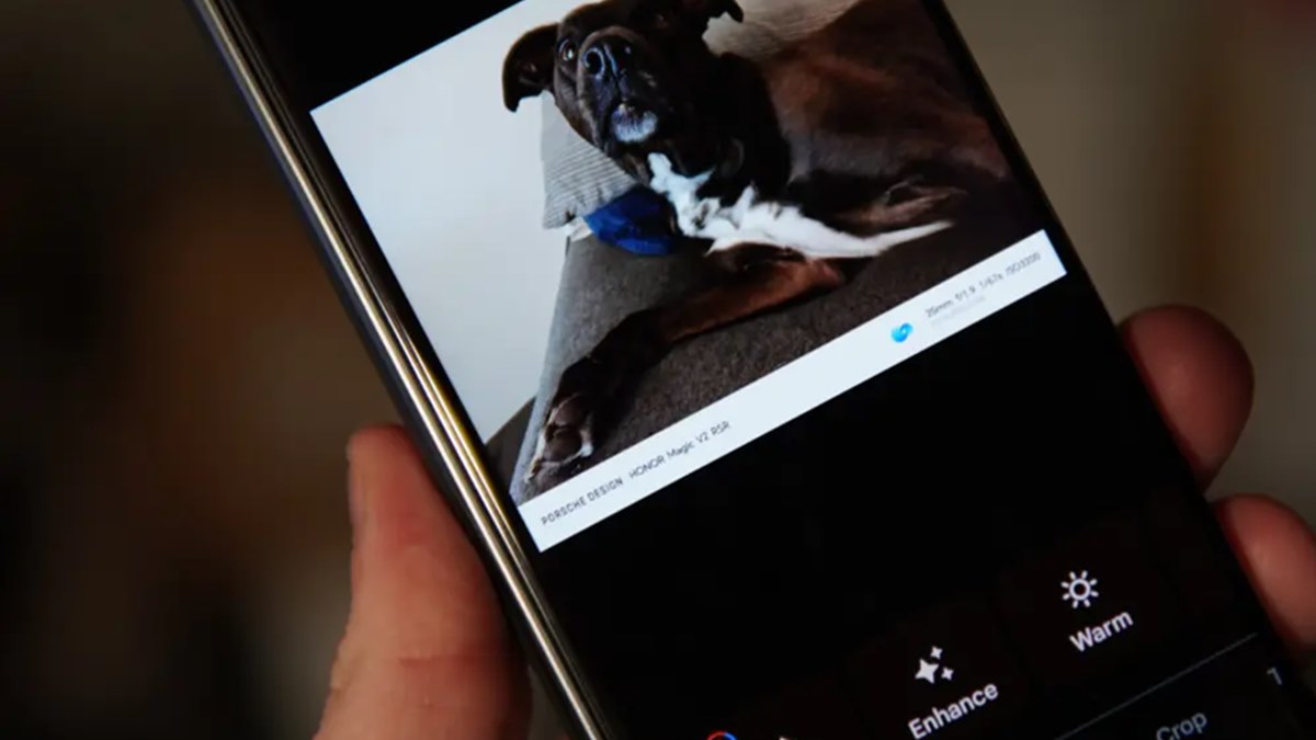 امکان ویرایش سریع پیش از اشتراکگذاری در اپلیکیشن Google Photos فراهم شد