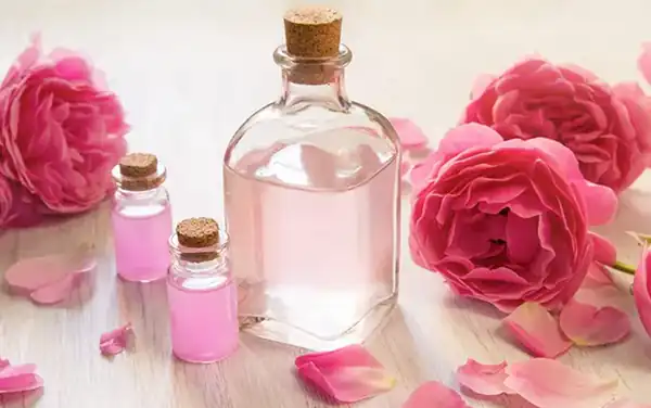 تعبیر خواب گلاب گل محمدی برای زن متاهل و باردار و دختر مجرد از روانشناسی