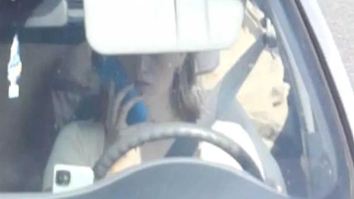 جریمه سنگین راننده هلندی به خاطر اشتباه دوربین جریمه