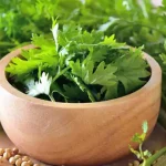 تعبیر خواب سبزی گشنیز برای زن متاهل و باردار و دختر مجرد از روانشناسی