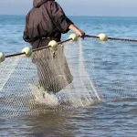 تعبیر خواب ماهیگیری از دریا برای زن متاهل و باردار و دختر مجرد از روانشناسی