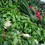 تعبیر خواب سبزی خوردن برای زن متاهل و باردار و دختر مجرد از روانشناسی