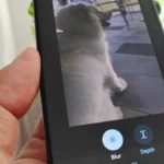 قابلیت ساخت استیکر به اپلیکیشن گوگل فوتوز در iOS اضافه شد