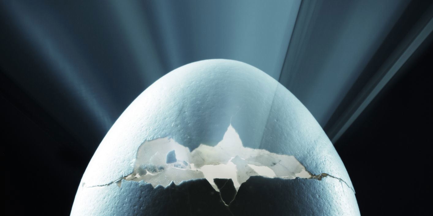 همه حیات روی زمین از یک نیای مشترک سرچشمه می‌گیرد