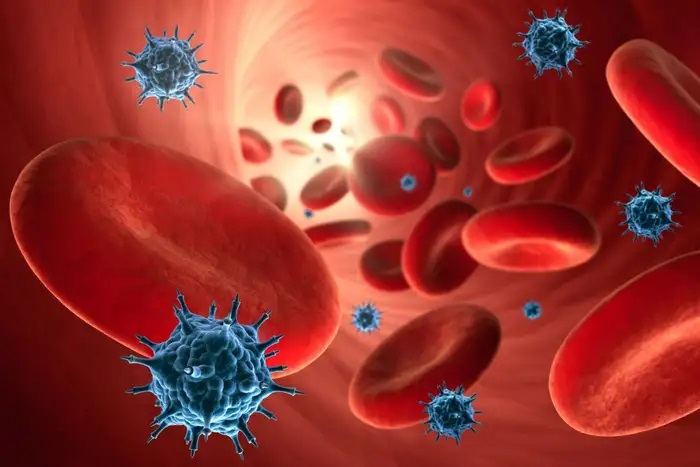 ظاهراً کووید-۱۹ باعث پیری عروق خونی در میان زنان می‌شود