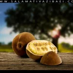 فواید کره کوپوآکو برای مو