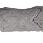 کشف سوت ۳۳۰۰ ساله؛ ابزار پلیس مصر باستان برای نگهبانی از آرامگاه‌های سلطنتی