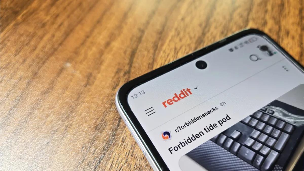 ردیت از پرپلکسیتی به اتهام سرقت داده و محتوای کاربران شکایت کرد