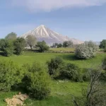 راهنمای سفر به دشت آزو