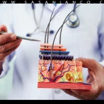 آناتومی مو چیست؟