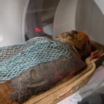 دانشمندان دو مومیایی را اسکن کردند و به نتایج جالبی رسیدند