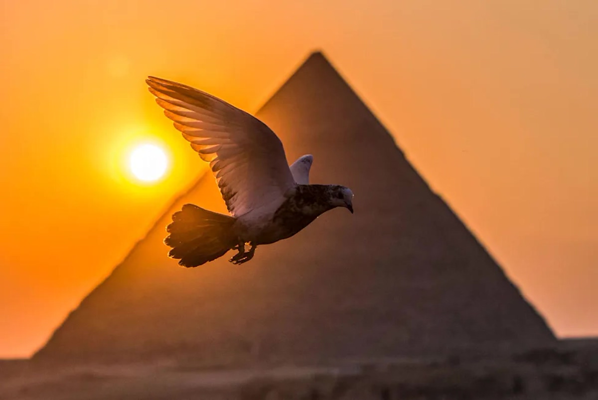 آیا مصریان باستان راز پرواز را می‌دانستند؟